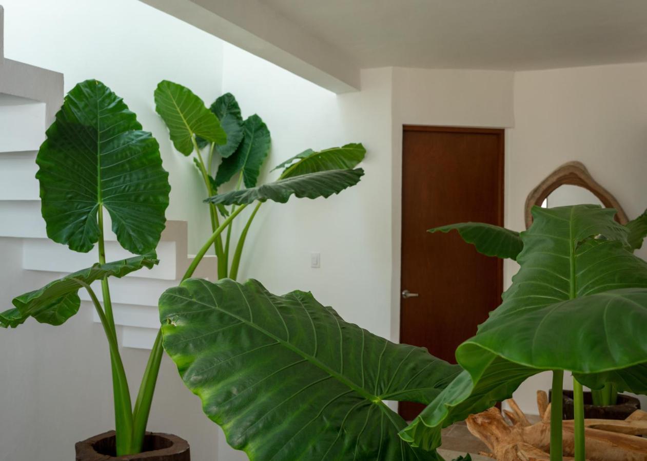 Appartement Recamara 5 Tulum à Cancún Extérieur photo